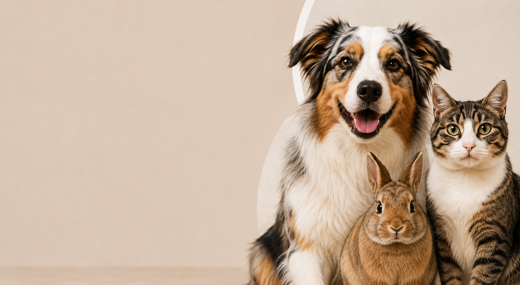 Hond, kat en konijn